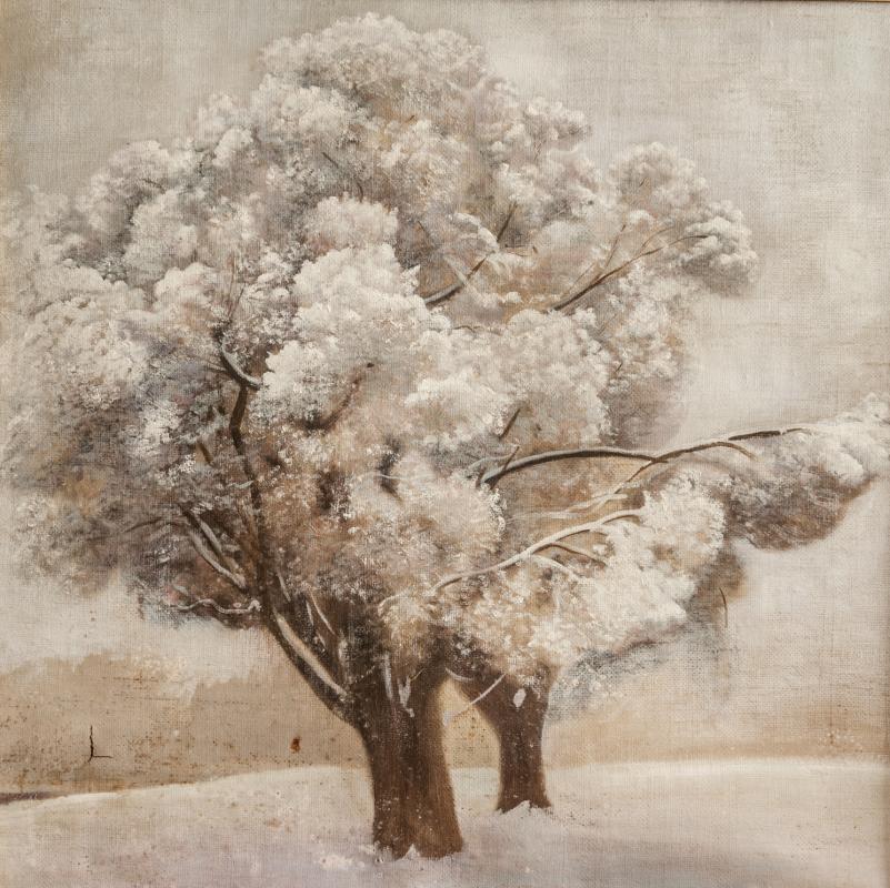 photo gallery image 19