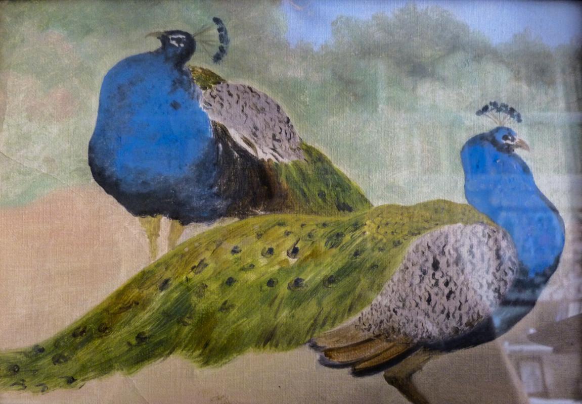 photo gallery image 88